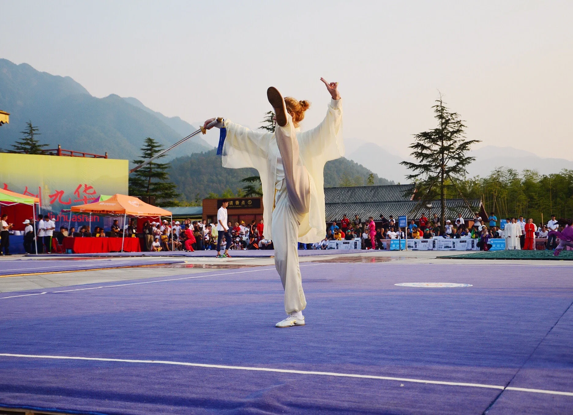 6 Mistrzostwa Świata Wushu Tradycyjnego (2014)