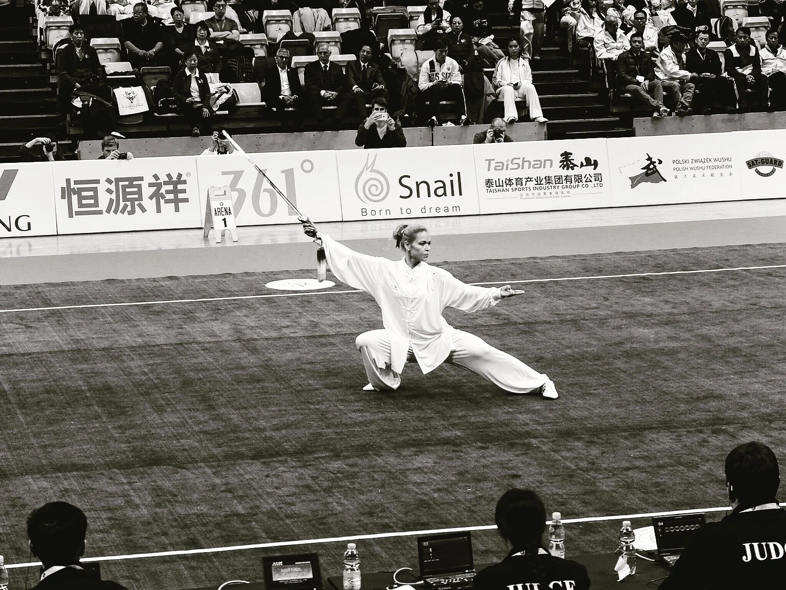 Chen style Taijijian
