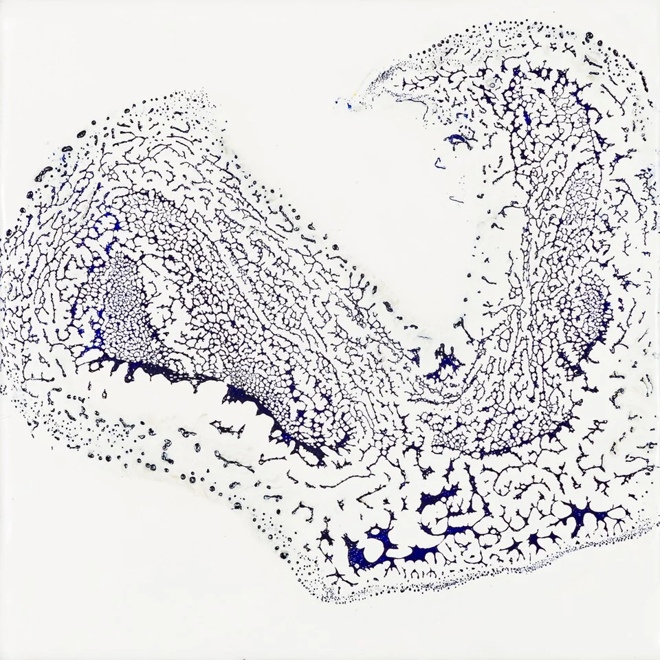 Open Sequence