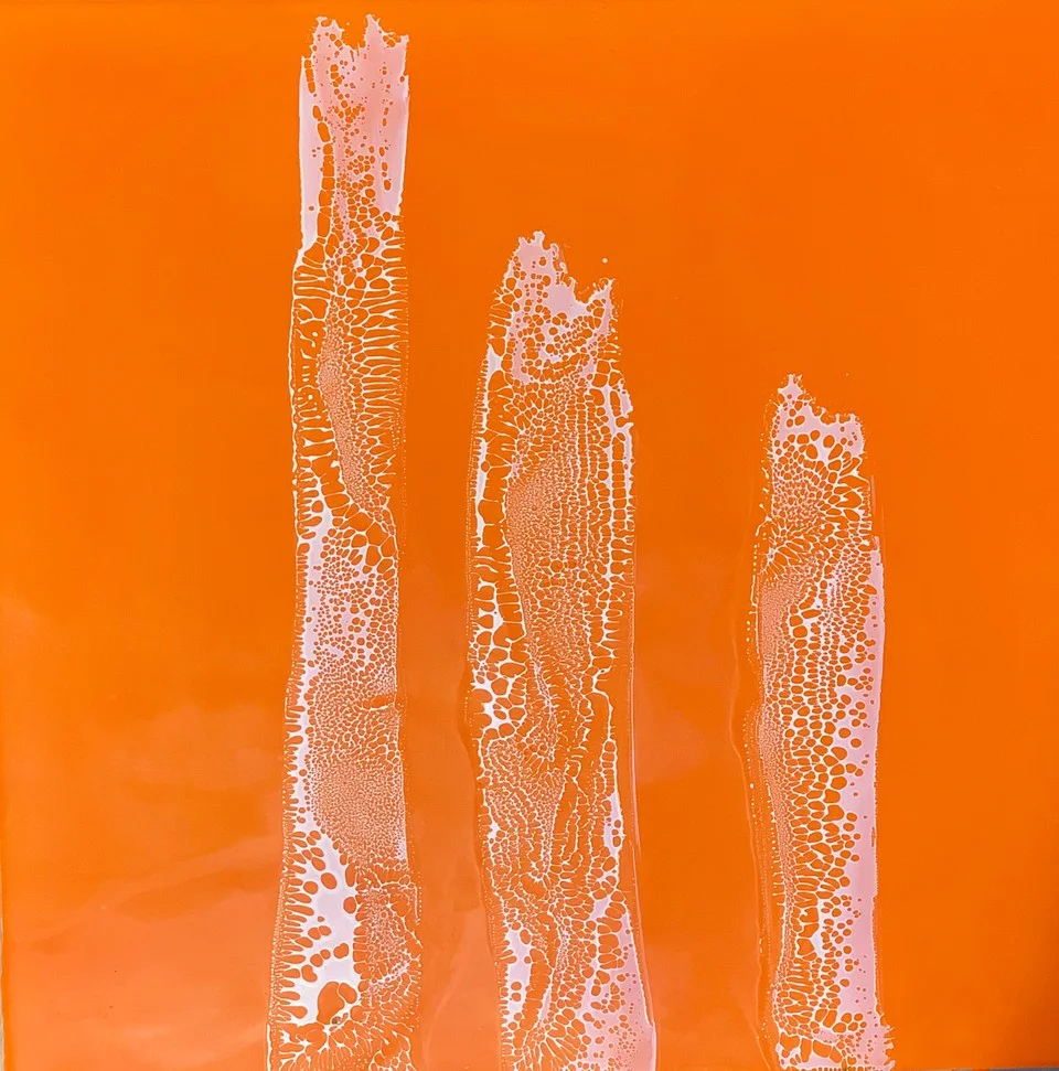 Eels