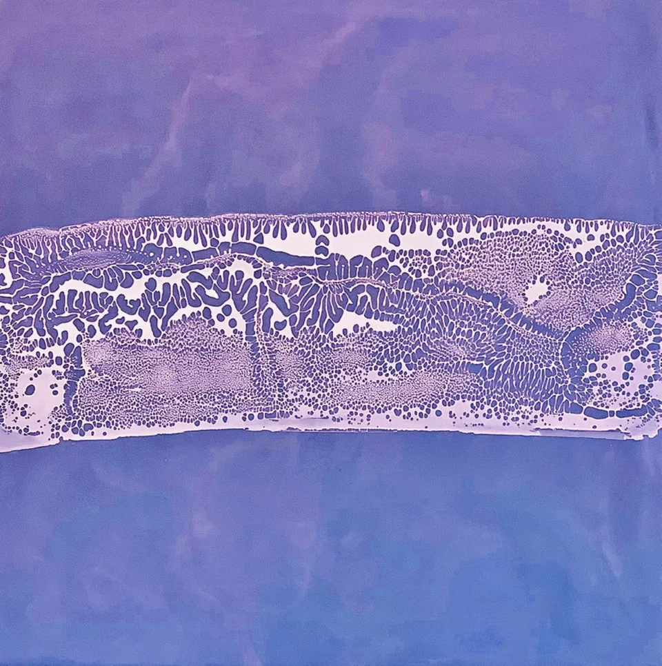 Fossil Sediment