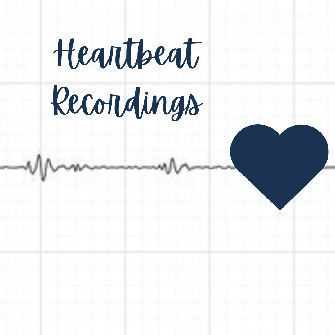 Heartbeat Recordings.png