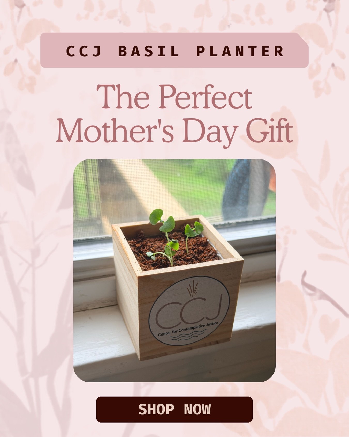 It&rsquo;s the gift that keeps on growing!🌿 This CCJ Basil Planter Kit is perfect for the mom who loves her kitchen, her garden, or just something that brings a little life to the windowsill. 
Order now to get it in time for Mother&rsquo;s Day!