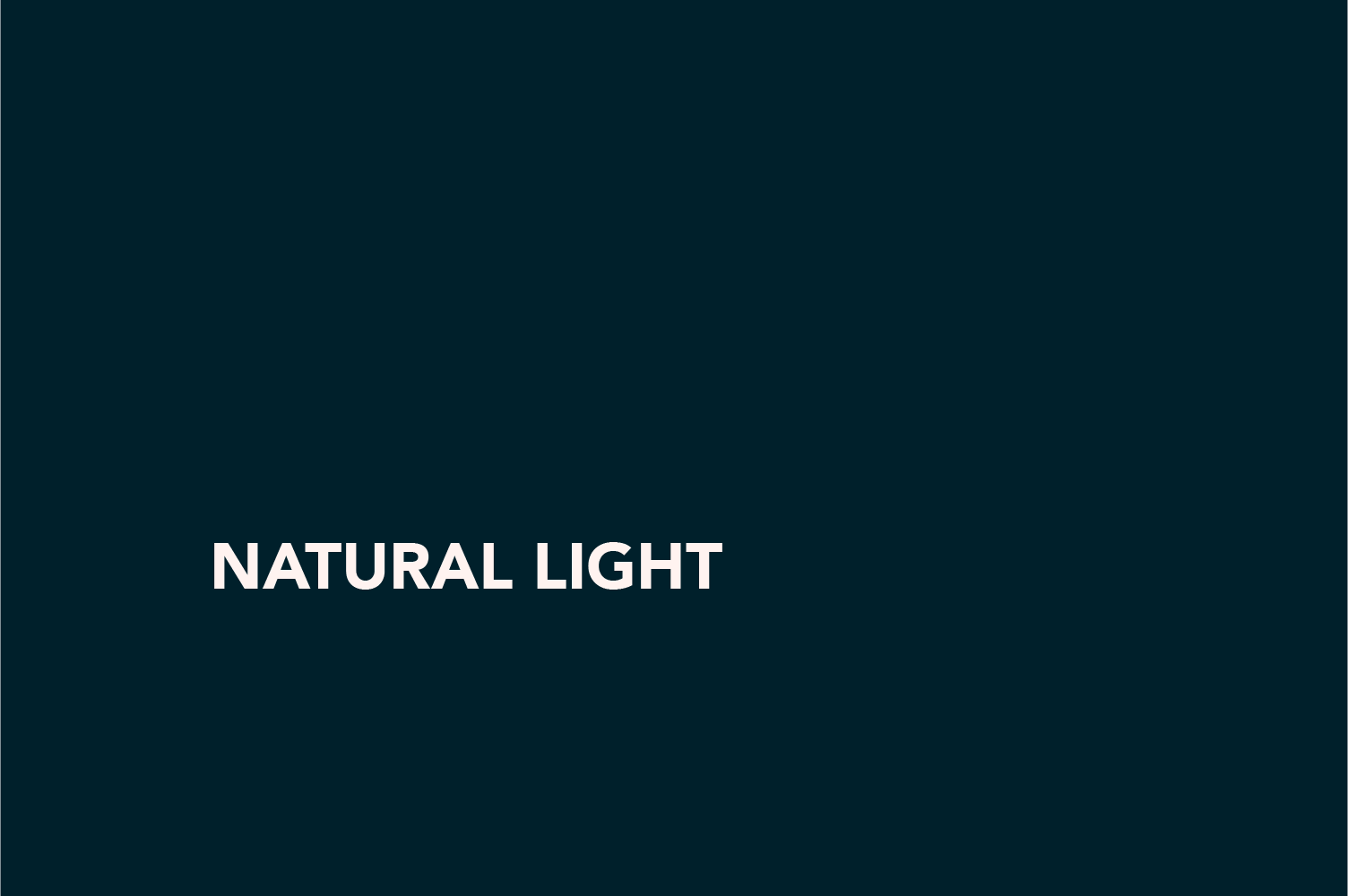 natural light .png
