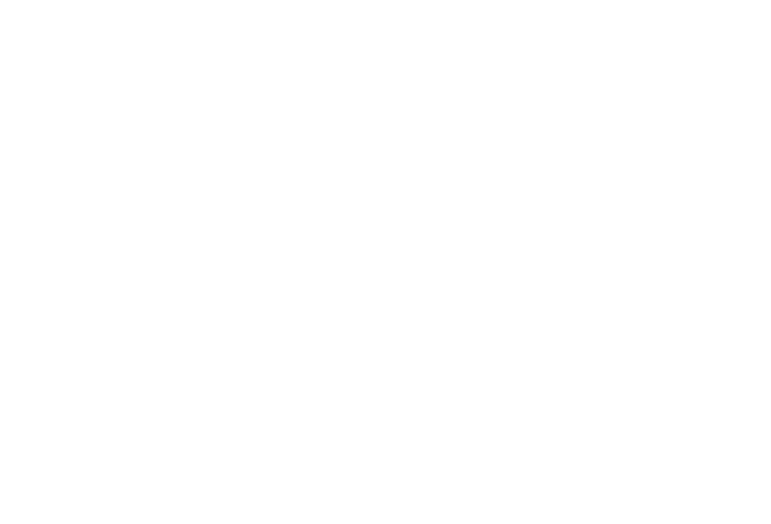 Emily Zimmer