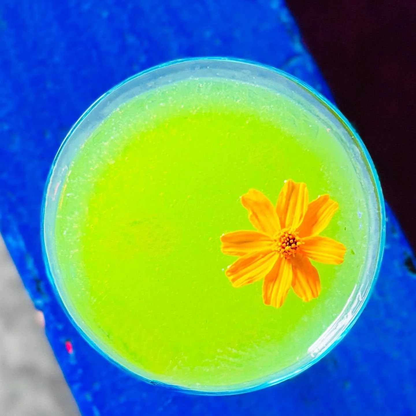 Hello Spring Menu 🟢 
Exploring the color green &mdash; the color of spring, the color of your heart chakra, the color of mint, nettle and Midori, the color of hard guava candies. Come enjoy what our team has created for the season. See you soon cuti