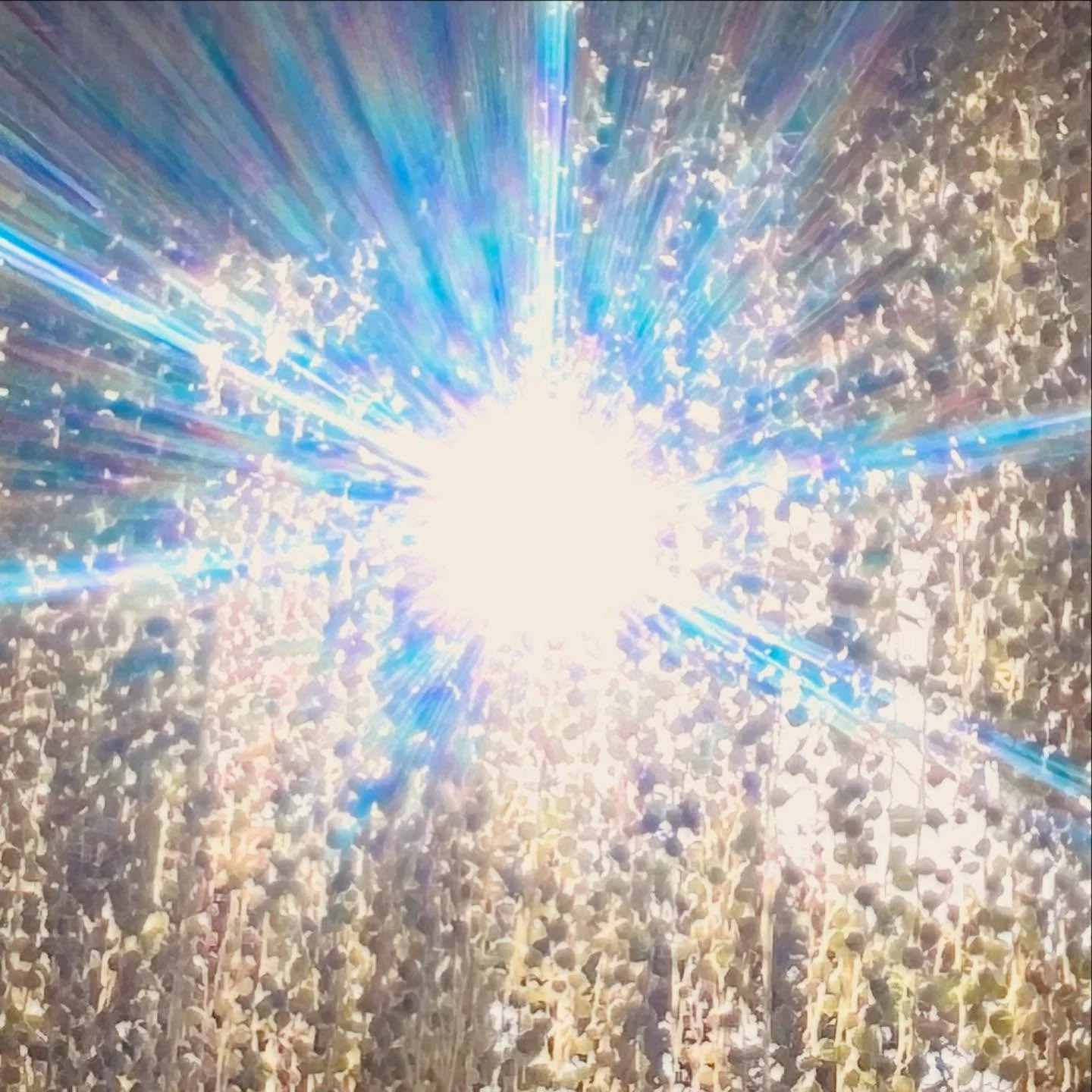 come to the garden for 
SUMMER SESSIONS @ pearl diver 
DAY PARTY 5/25 2-7pm 21+ 
music by local djs
do not miss 
xoxox