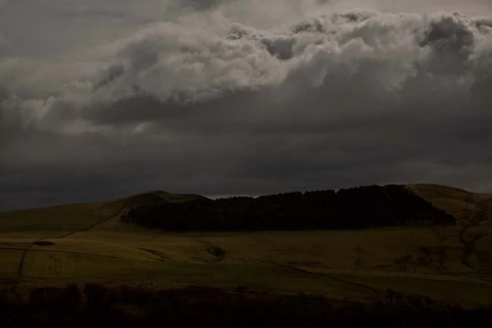 The Moors, Scotland, UK 2008