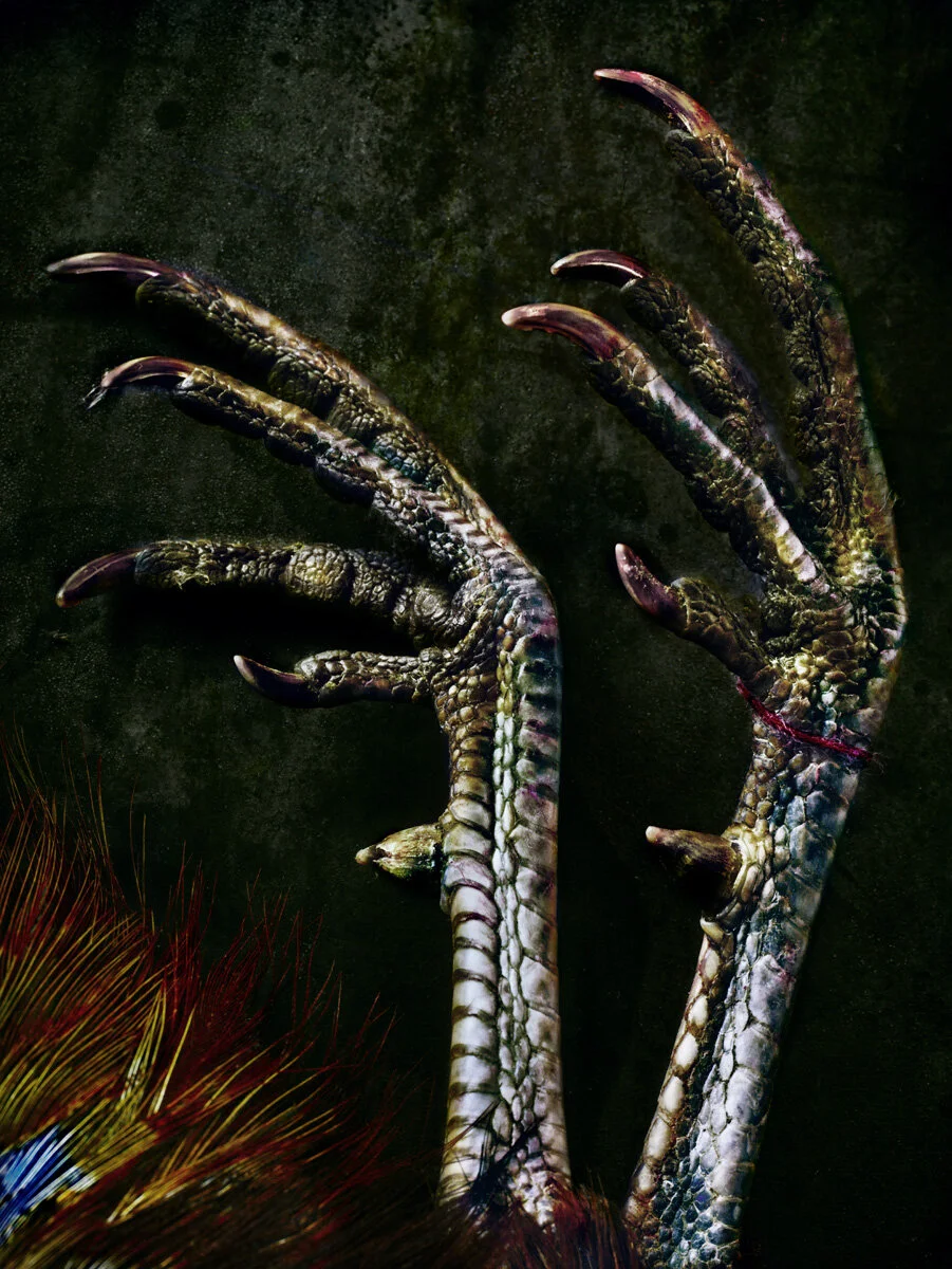Pheasant Claws in Silver,Blue, and Grey (Copy)