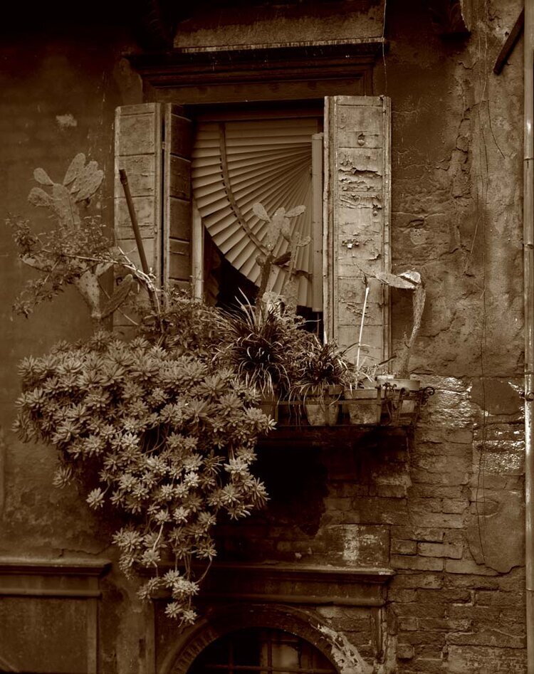 Venice 1999 - 2001