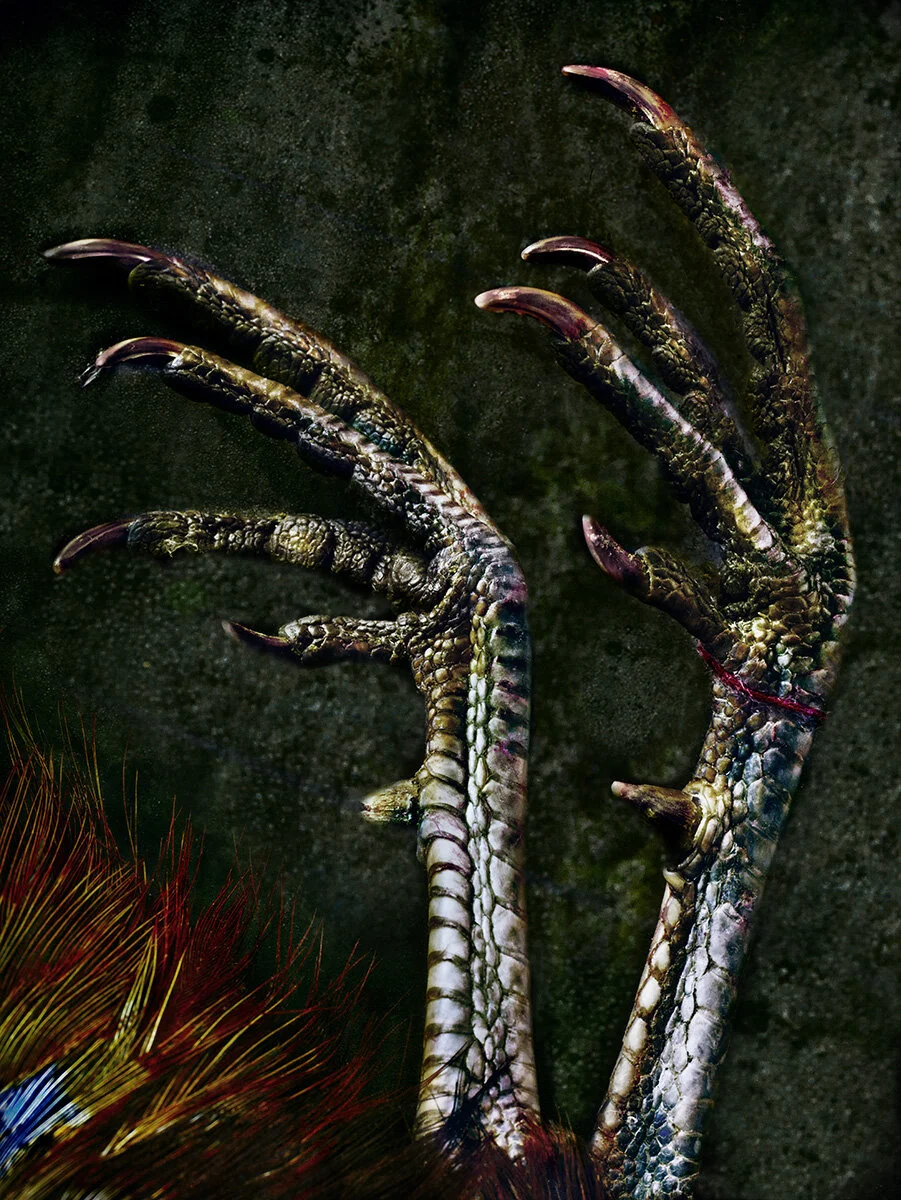 Pheasant Claws in Silver,Blue, and Grey 2019-2020_Final.jpg