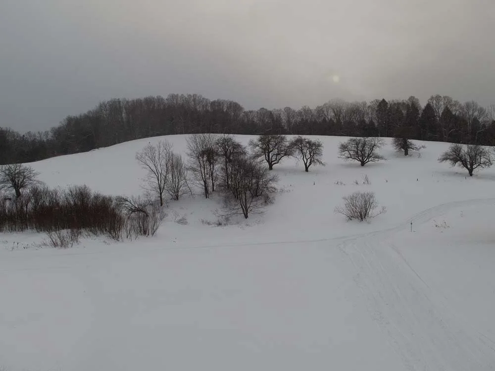 Sunset, Winter, 2011