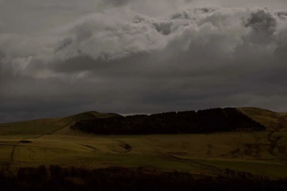 The Moors, Scotland, UK 2008