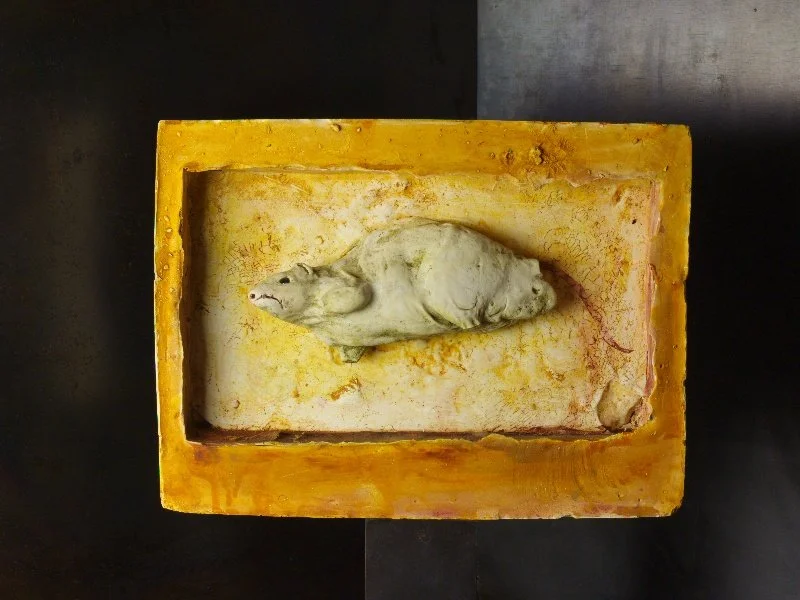 Horizontal Rat_00002.jpg