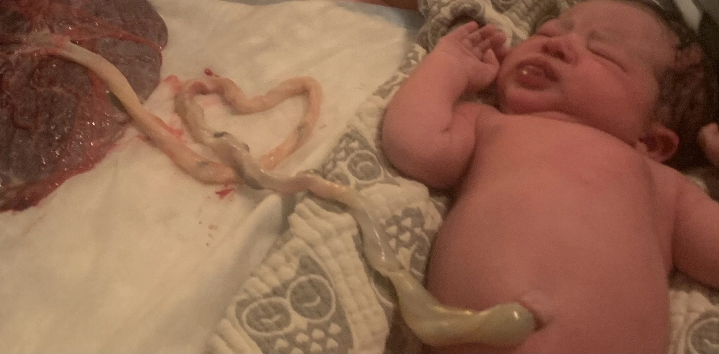 International Homebirth Day | Muriel's Birth Story