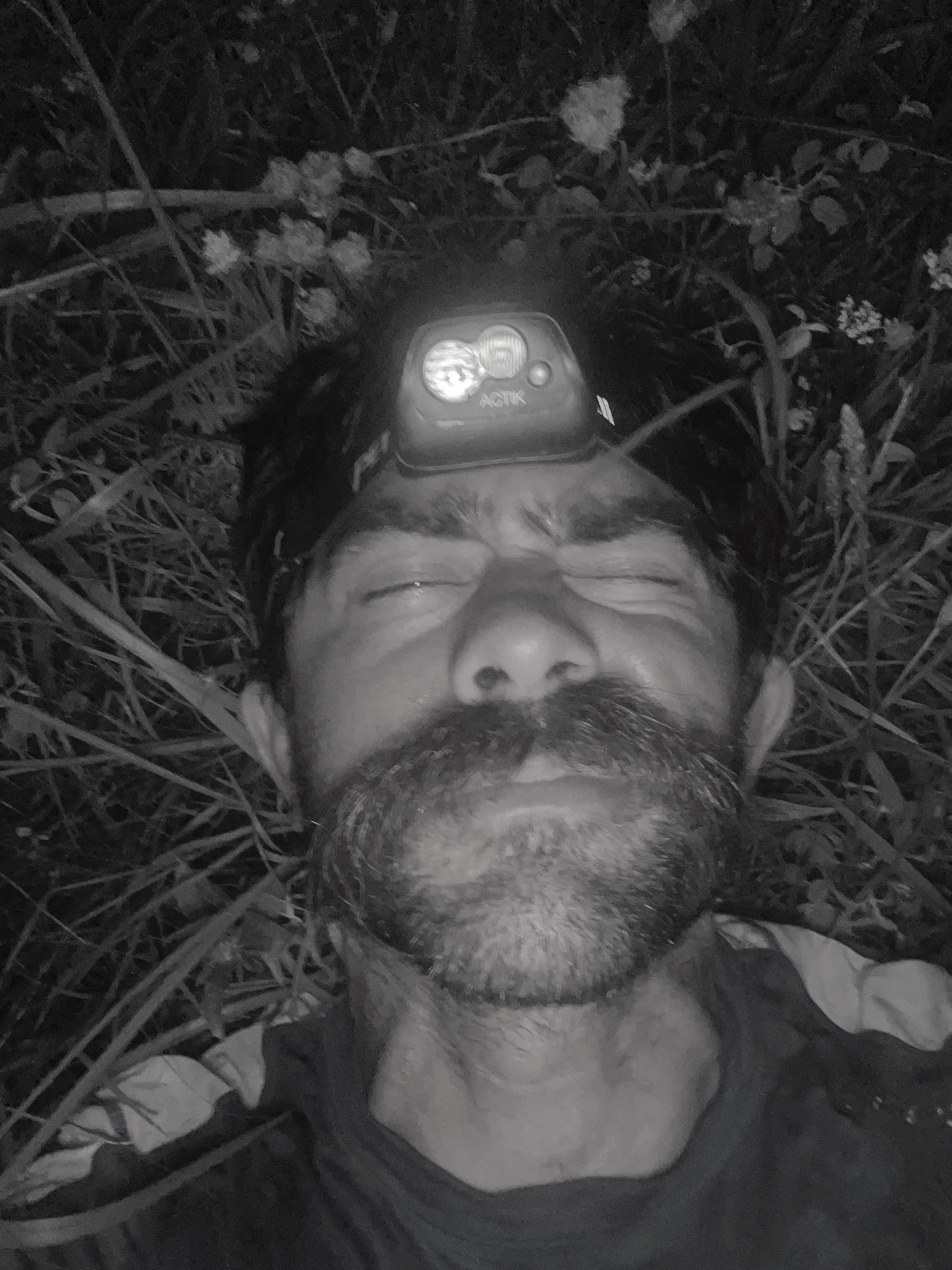 Andy Pearson — Wake. Dad. Drink. Repeat.