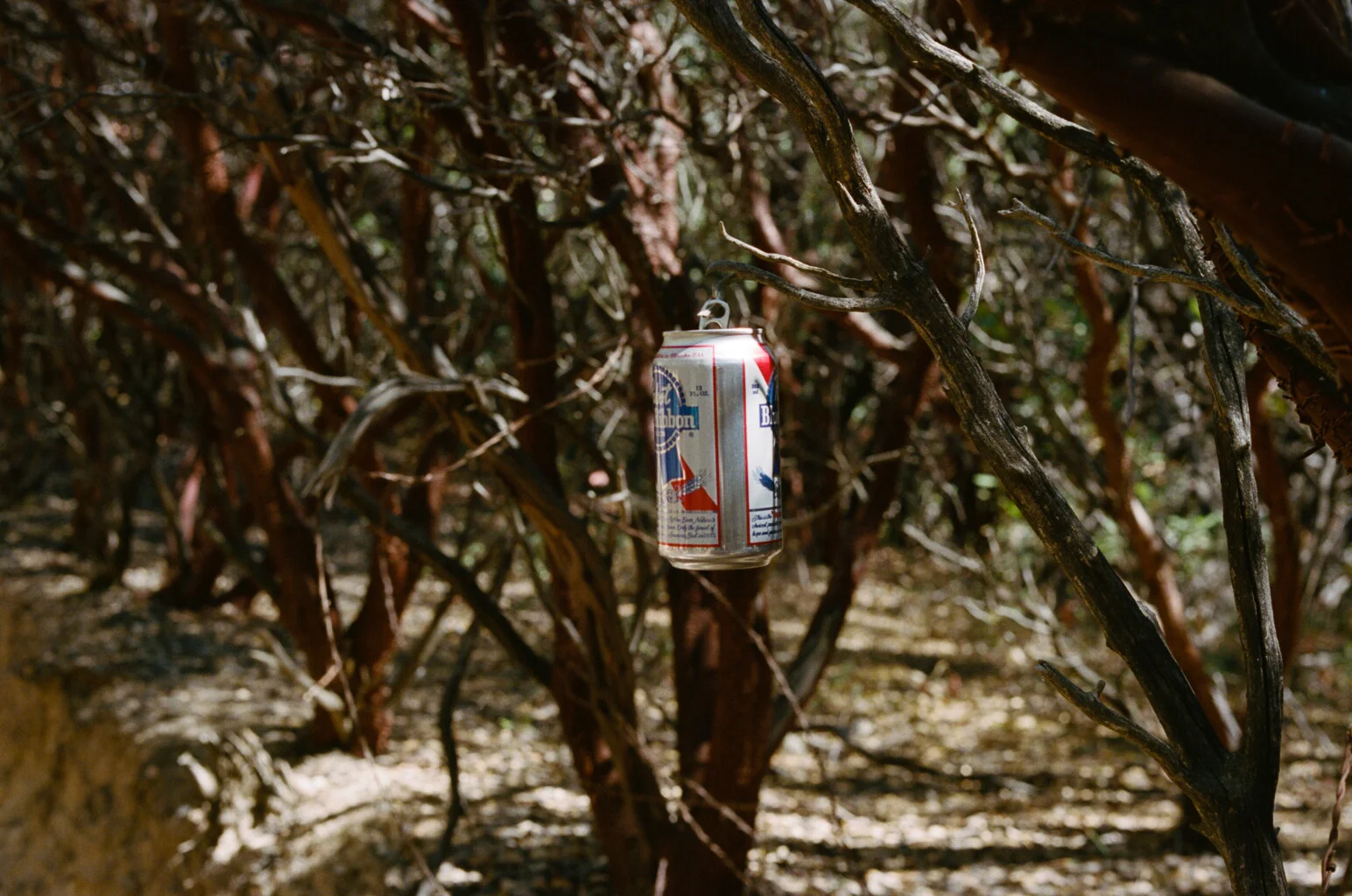 hidden16a.jpg