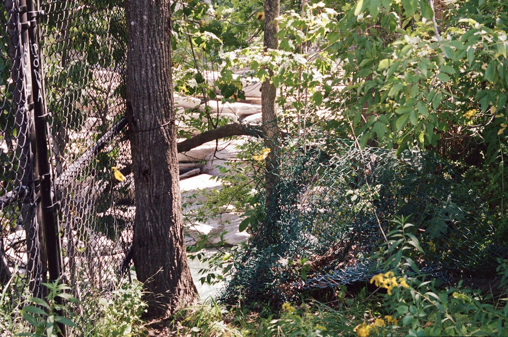 kodak_professional_portra_400_08_29_2023_000191490037.jpg