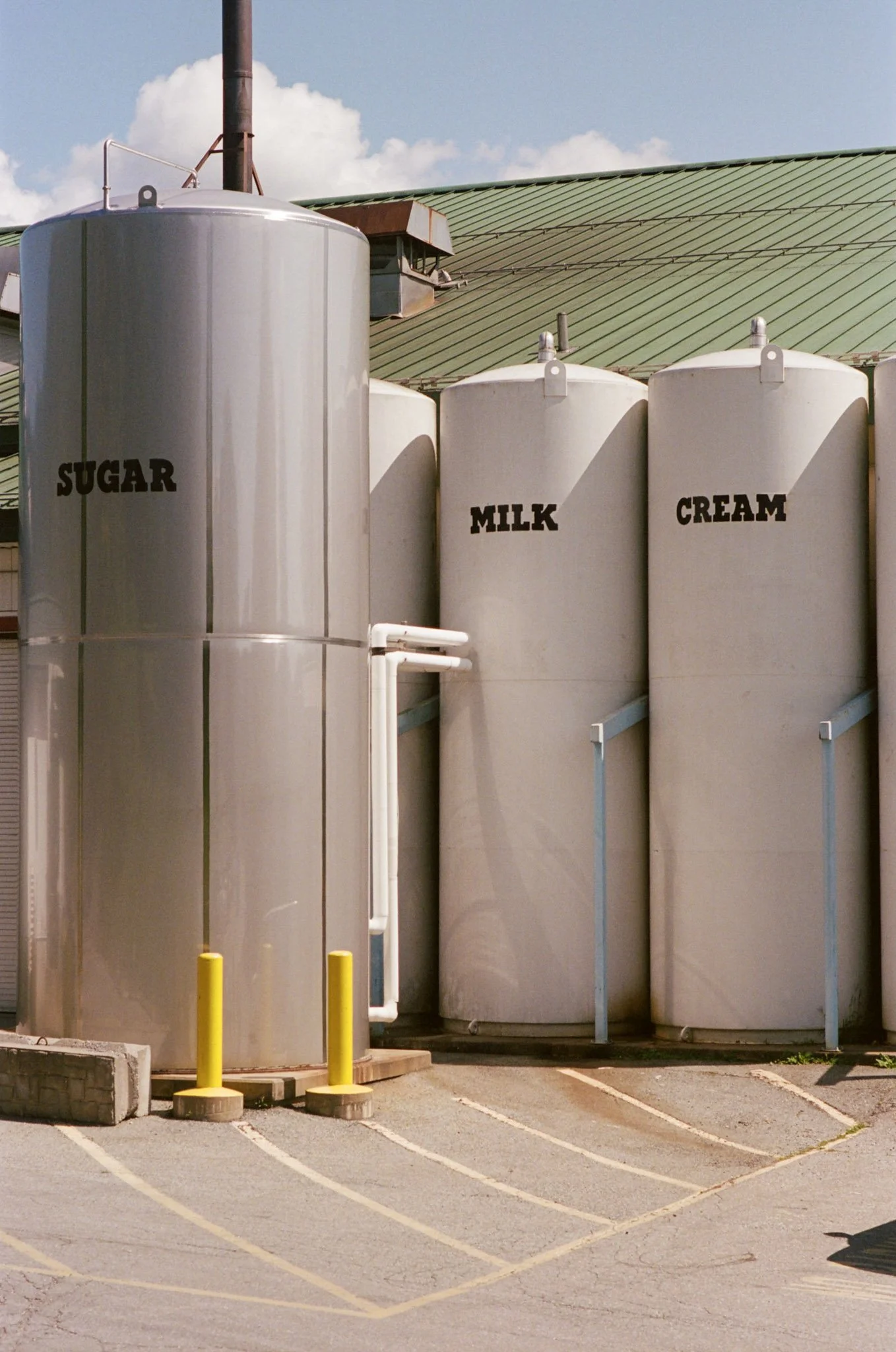 kodak_professional_portra_400_08_29_2023_000207730018.jpg