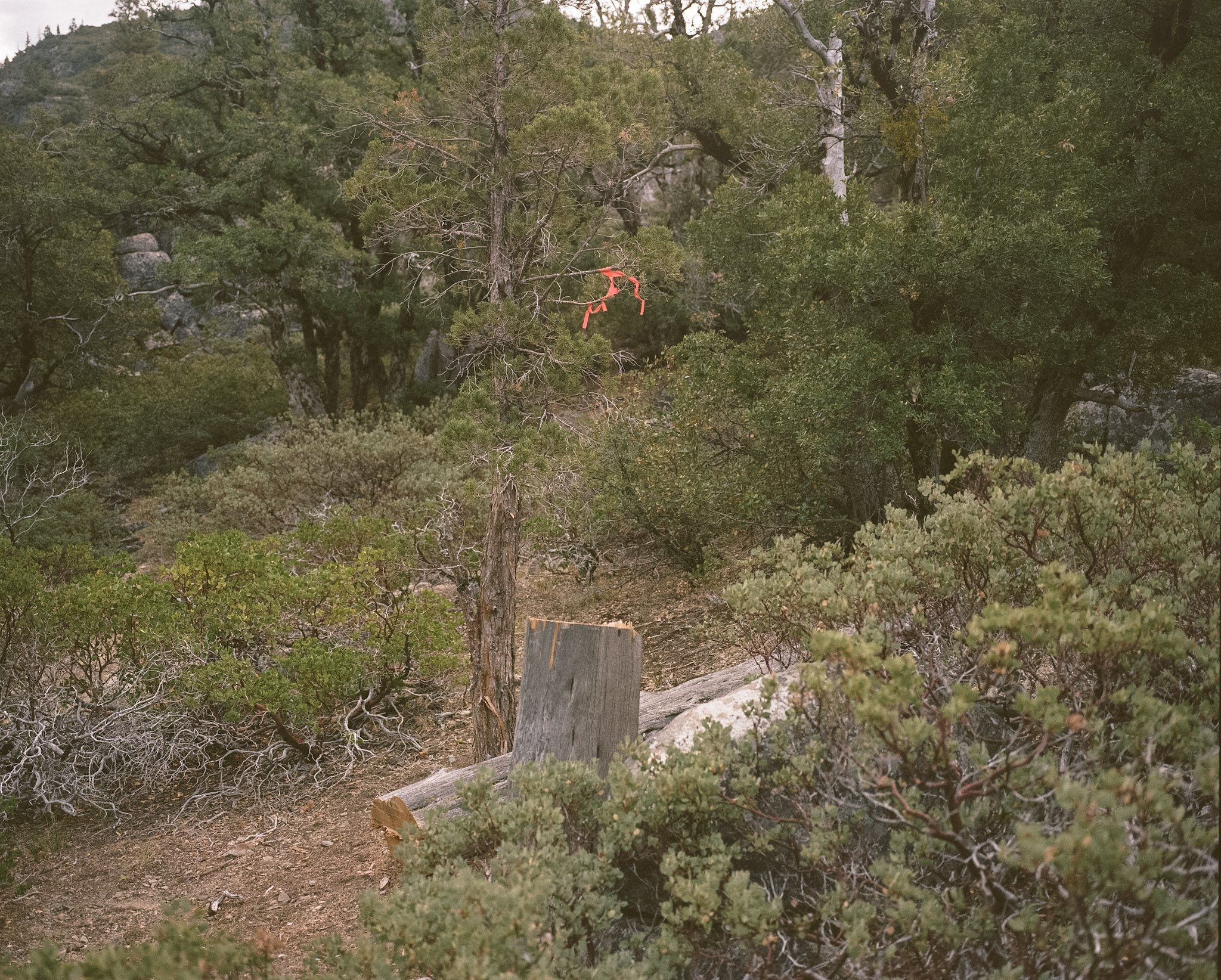 kodak_professional_portra_400_09_22_2023_000062380005.jpg