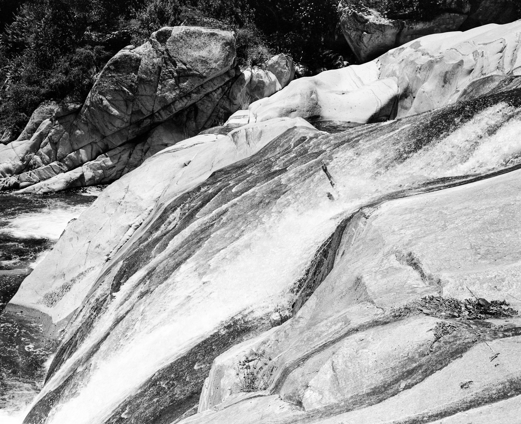 kodak_professional_tri-x_400_07_02_2024_000333490010.jpg