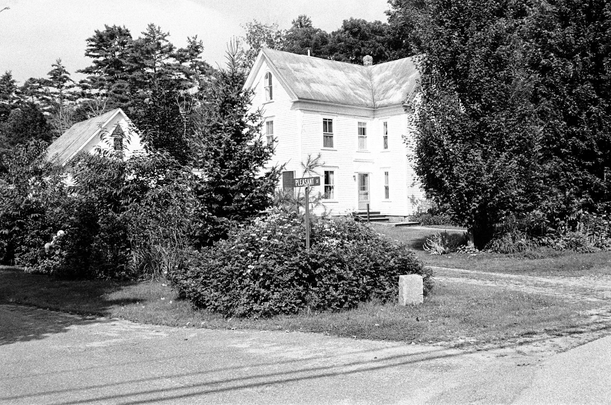 kodak_professional_tri-x_400_08_29_2023_000191550015.jpg