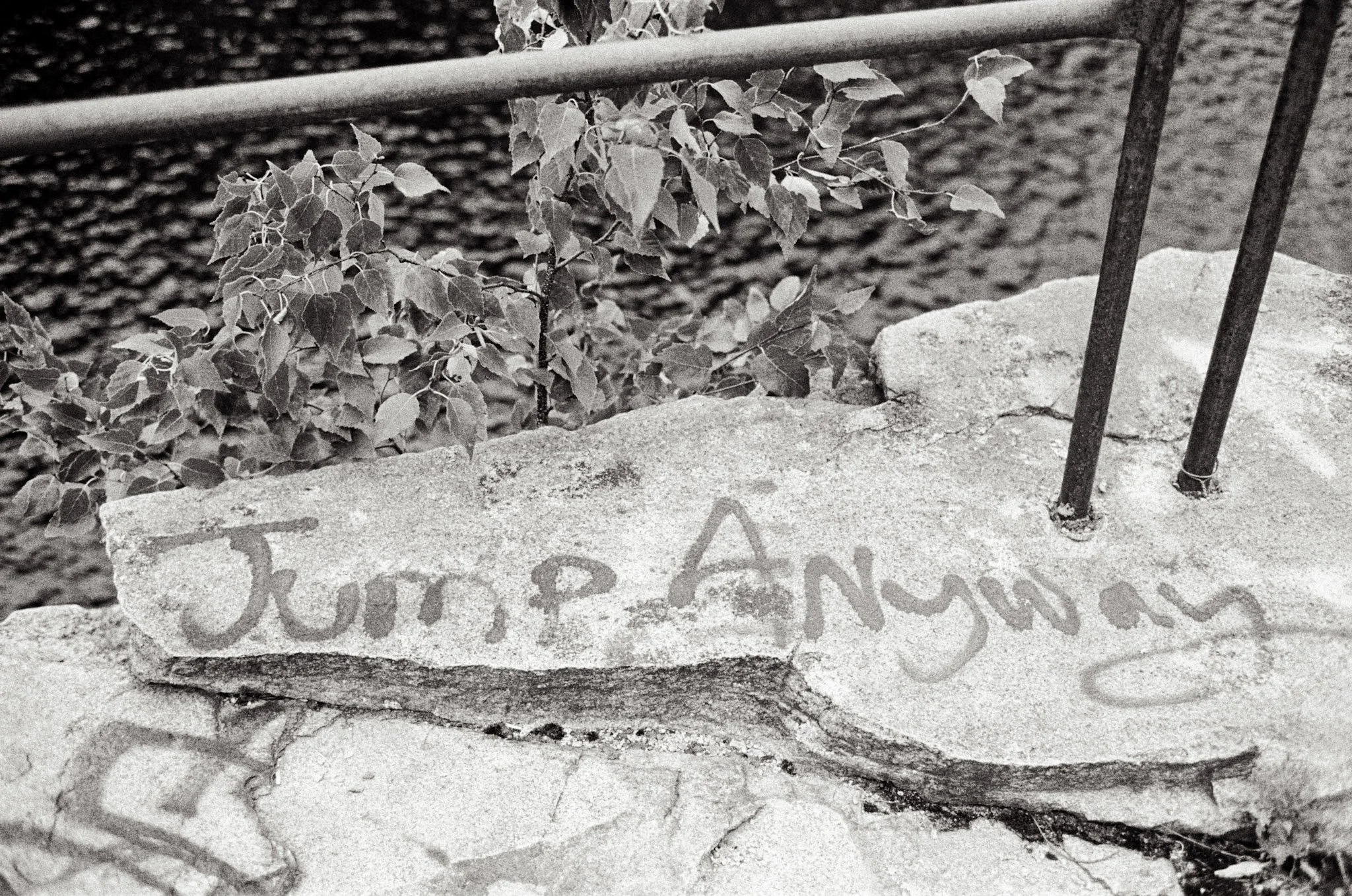 kodak_professional_tri-x_400_08_29_2023_000191590007.jpg