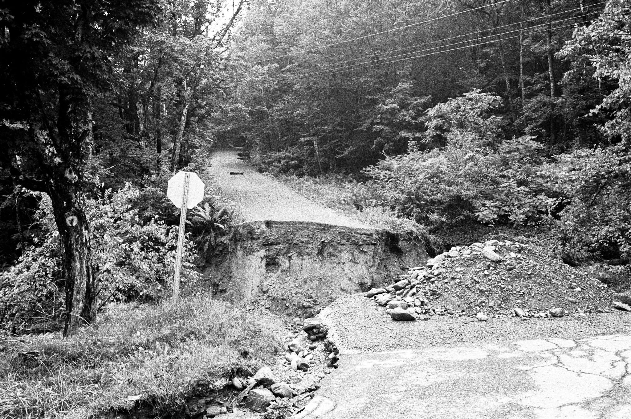kodak_professional_tri-x_400_08_29_2023_000191590030.jpg