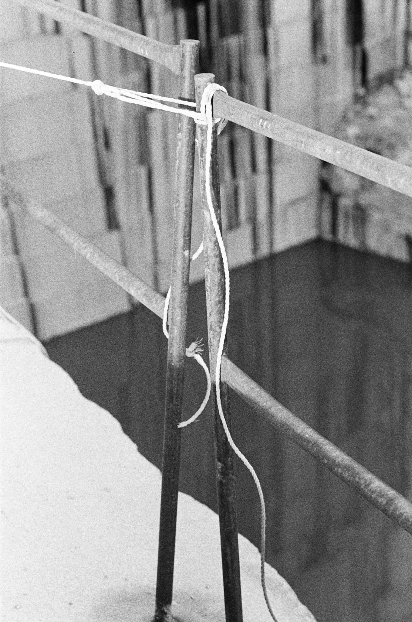kodak_professional_tri-x_400_08_29_2023_000191600037.jpg