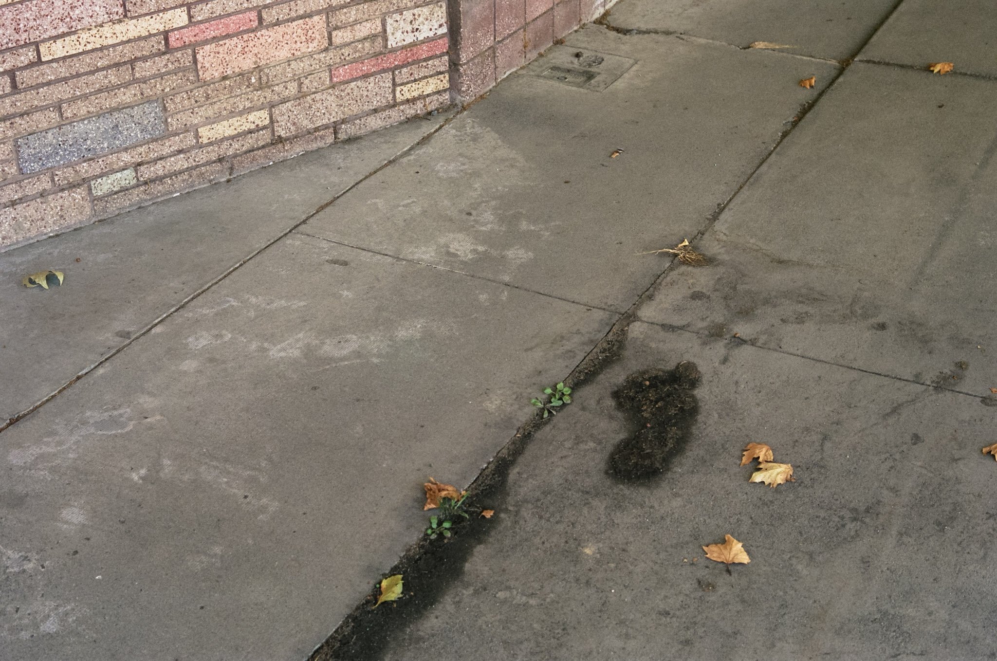 kodak_professional_portra_400_09_14_2024_000295690033.jpg