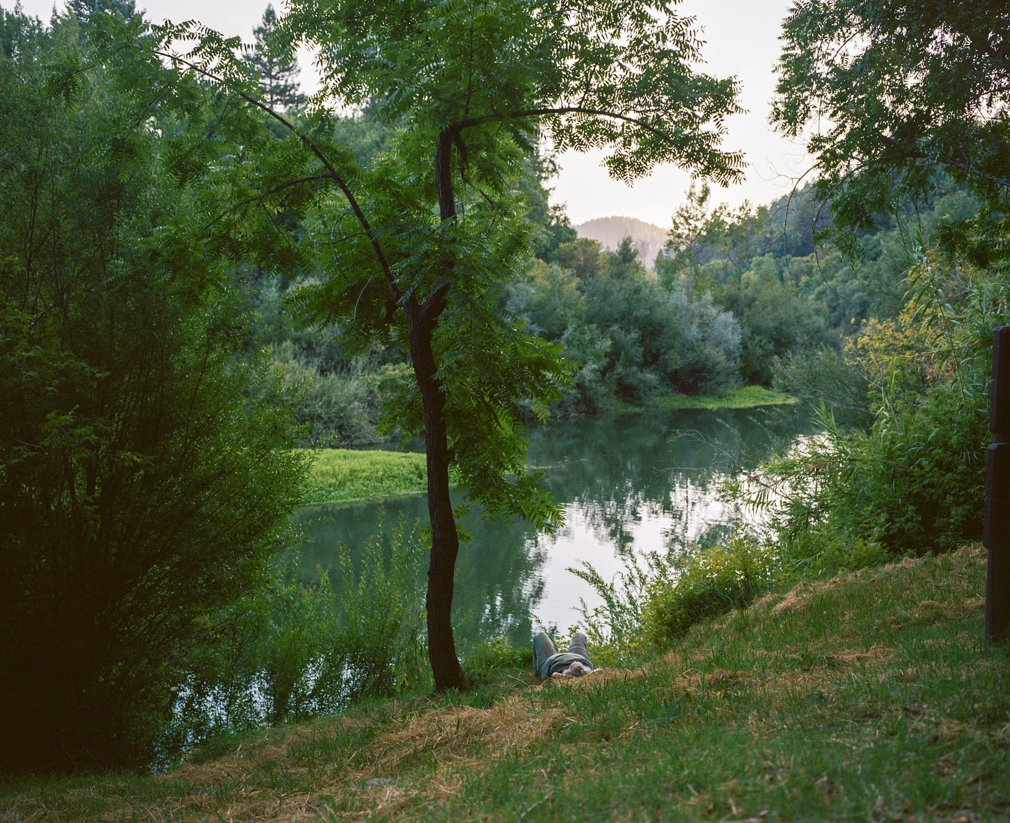 kodak_professional_portra_400_09_14_2024_000142760010.jpg