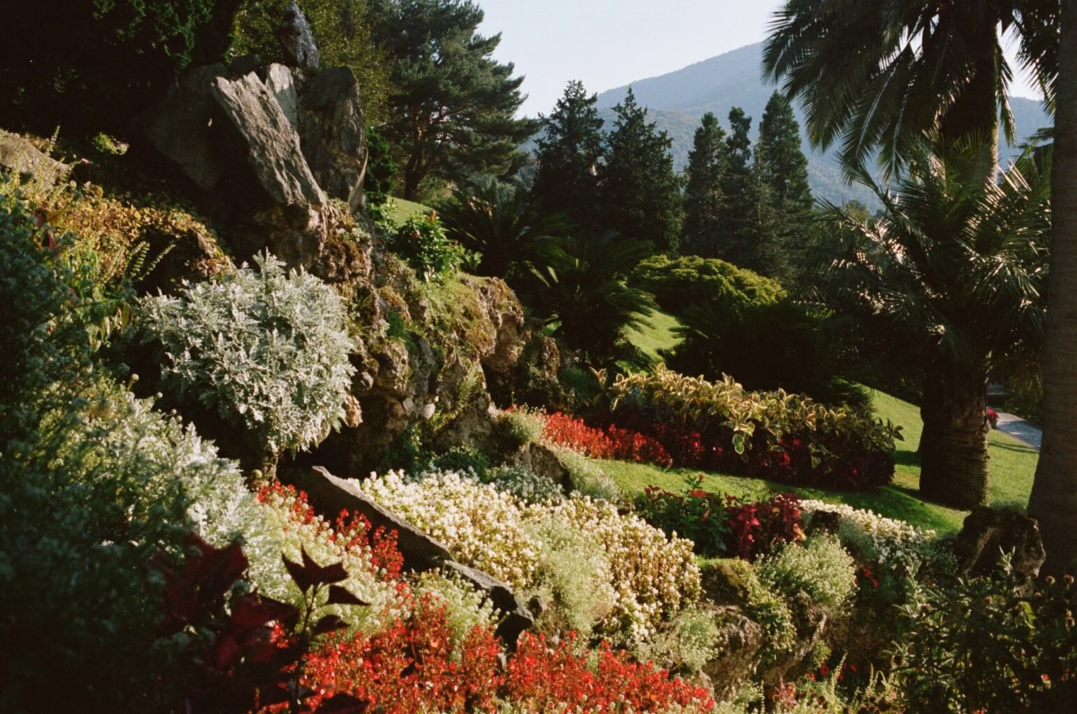00040031.JPG