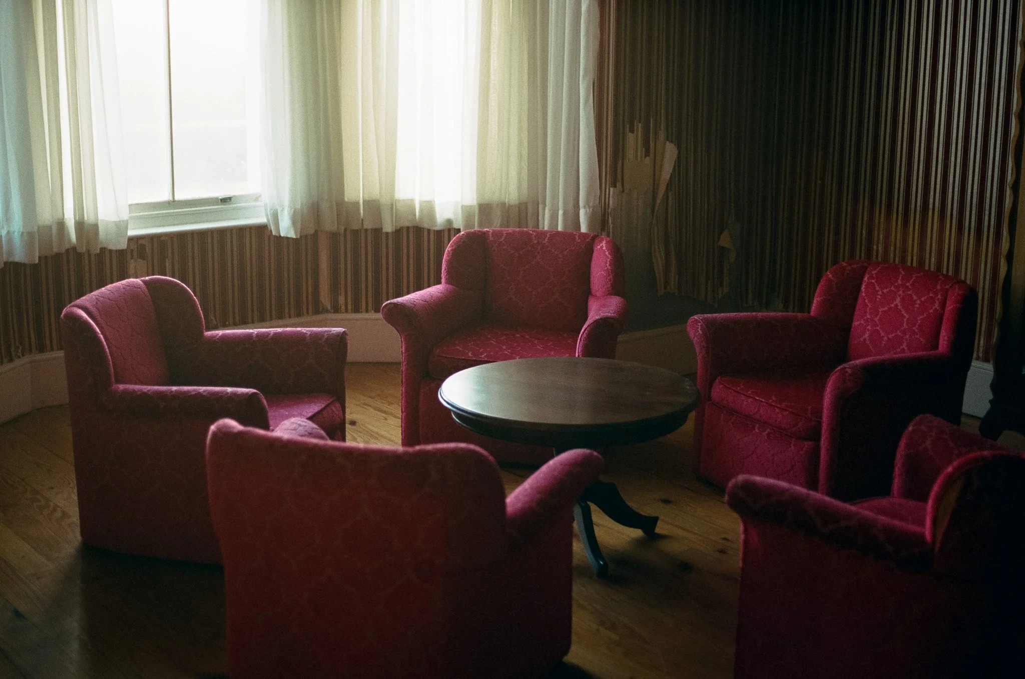 kodak_professional_portra_400_02_02_2024_000255570003.jpg
