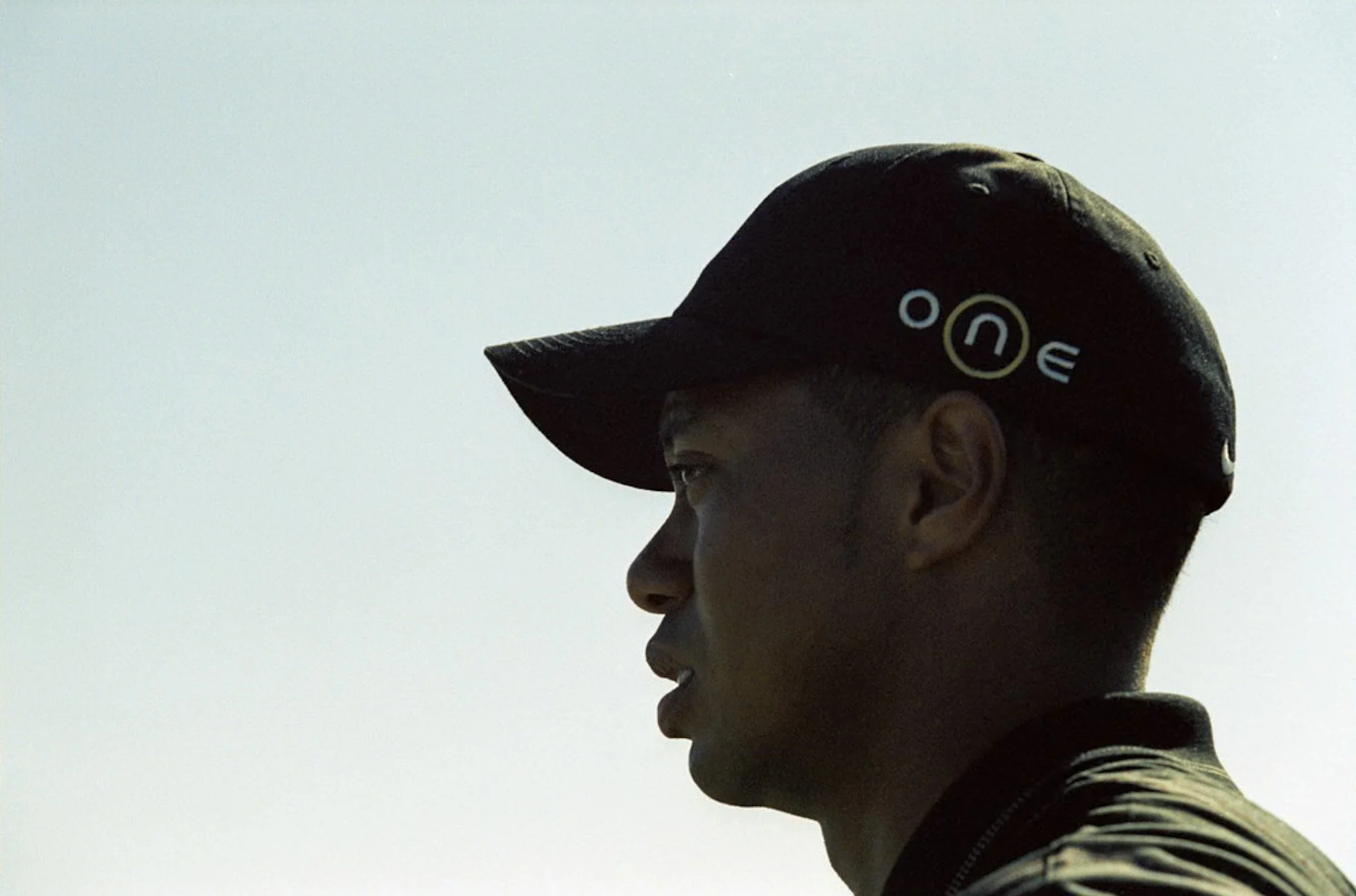 TIGER.FACE.jpg