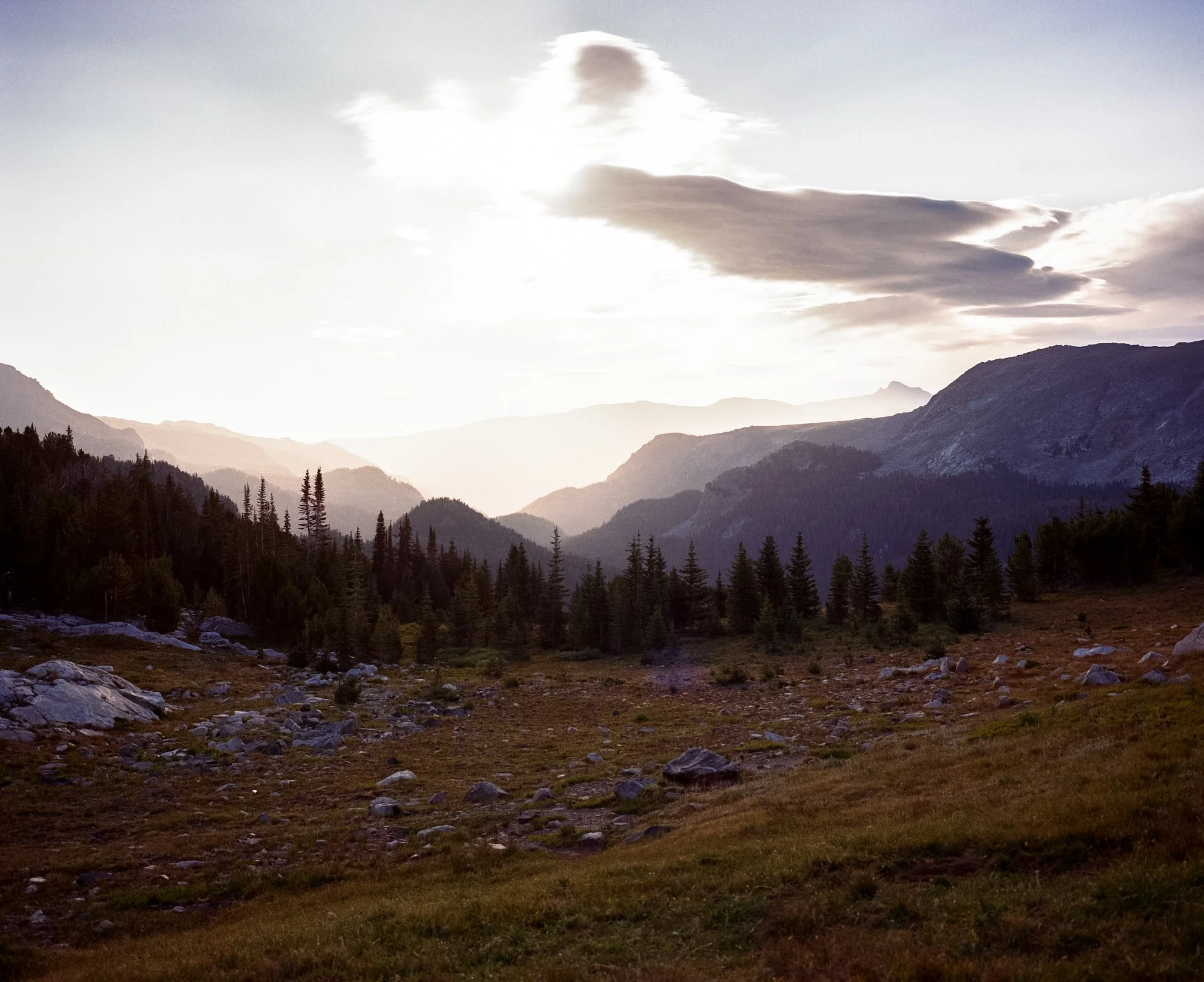 kodak_400_c_41_Montana 08 2025_10790_102019_228214_002297040008.jpg
