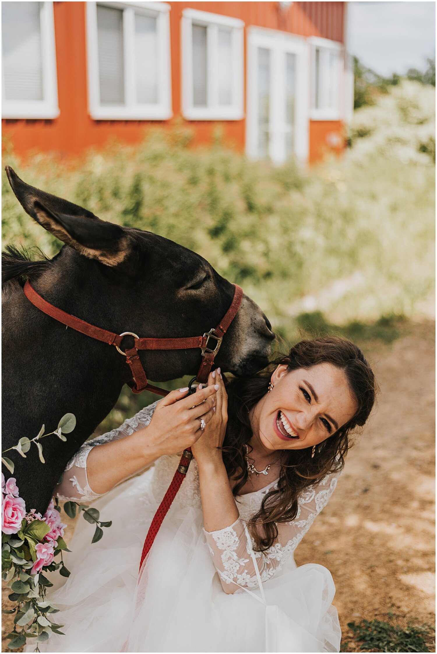  bride with a donkey in minnesota 