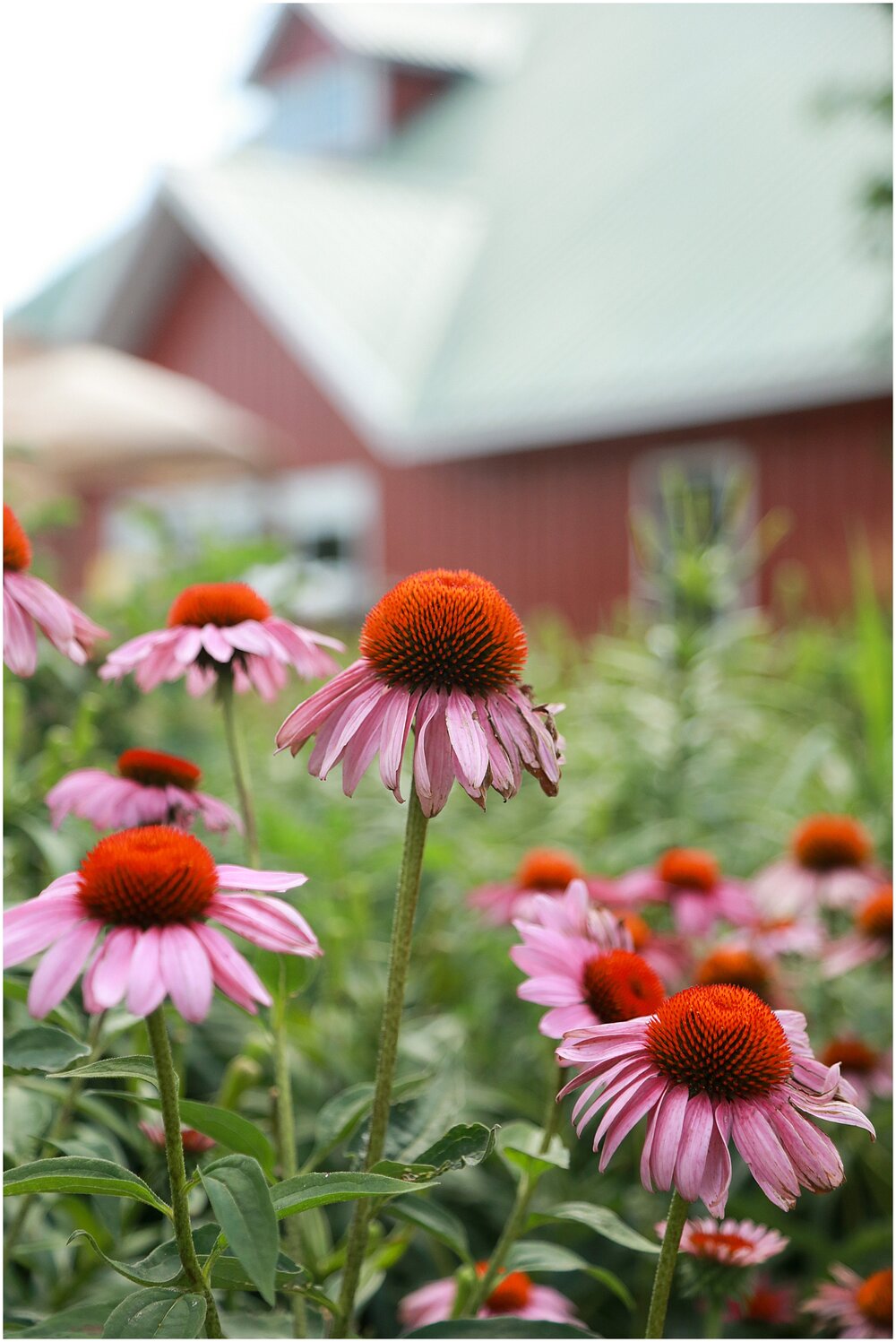 The Outpost Center - MPLS wedding venue_3057.jpg