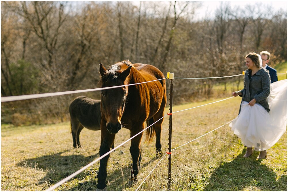  bride and groom with the horses in the Outpost Center Venue in MPLS 