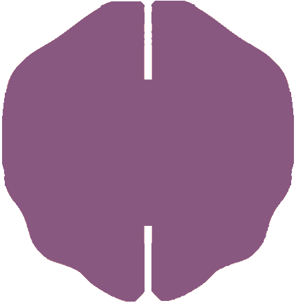 brain-purple.png