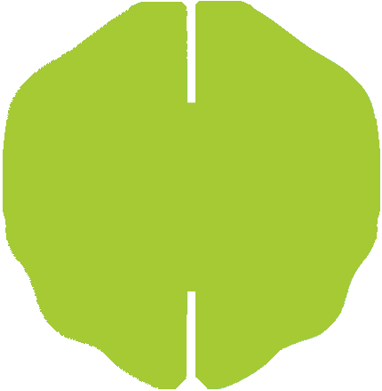 brain-green.png