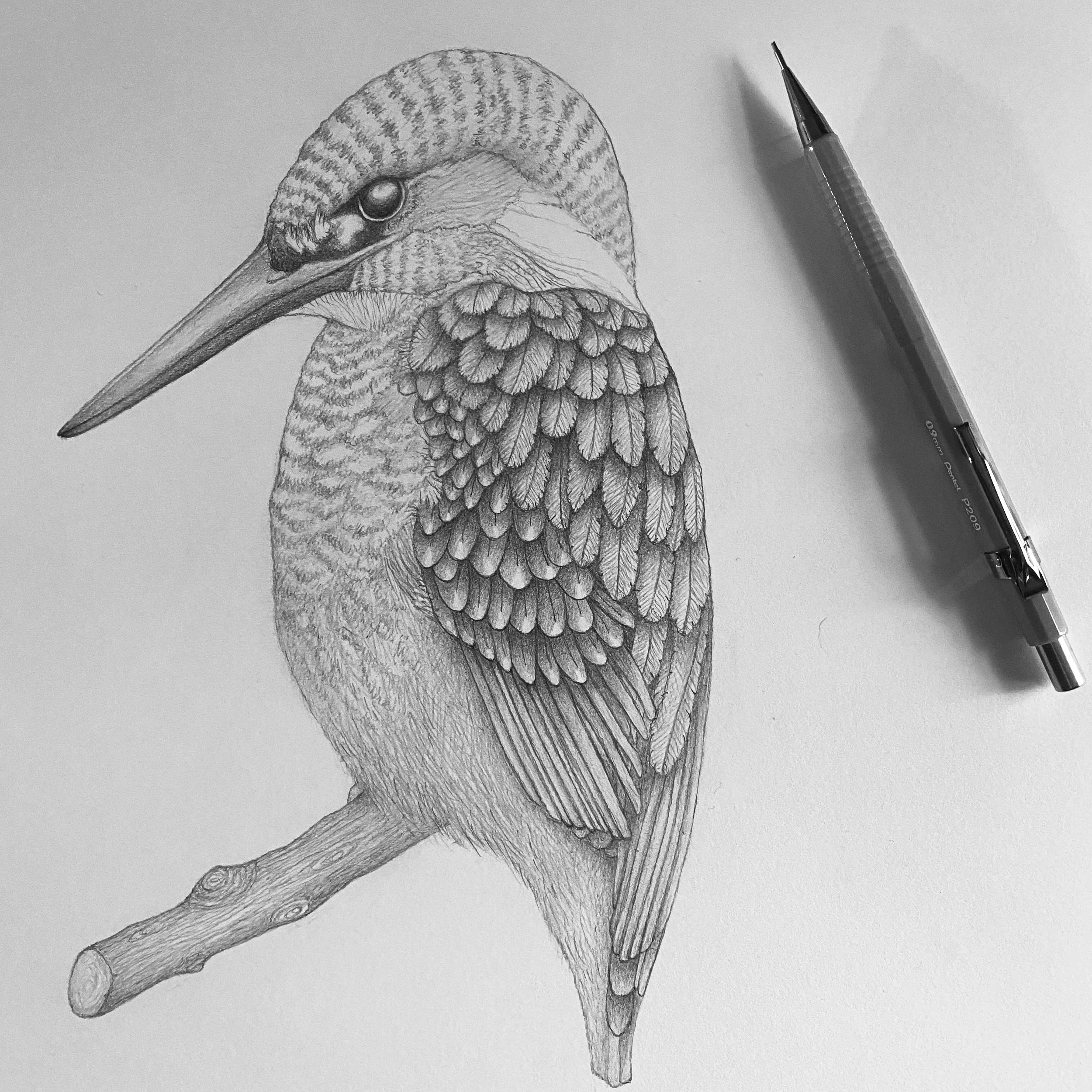 How to remove the background from a scanned drawing in — RAE