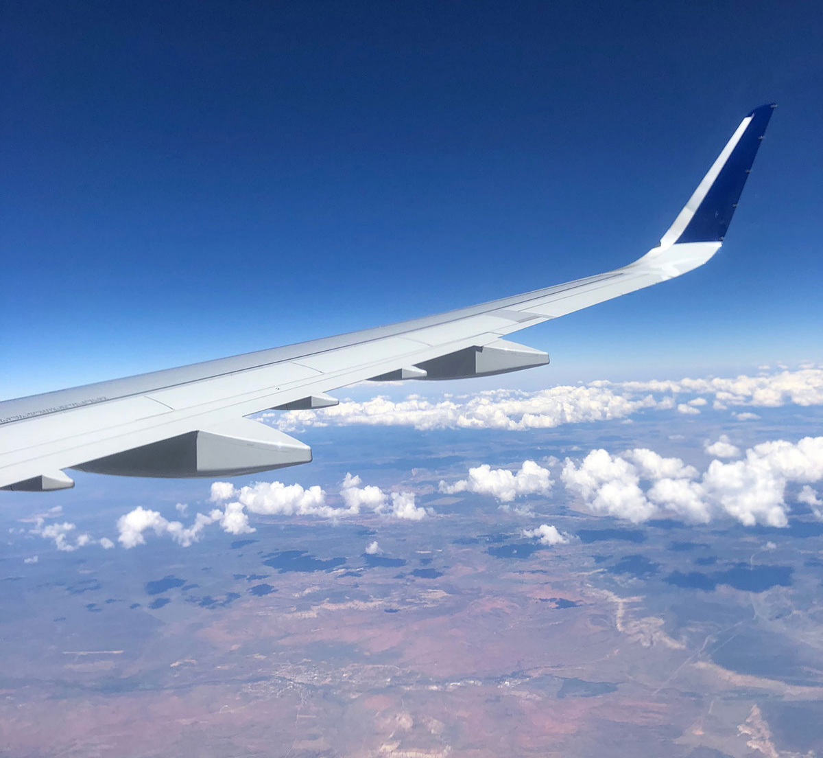 wing.jpg