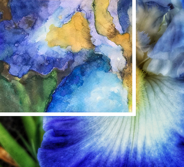 iris_mix.jpg