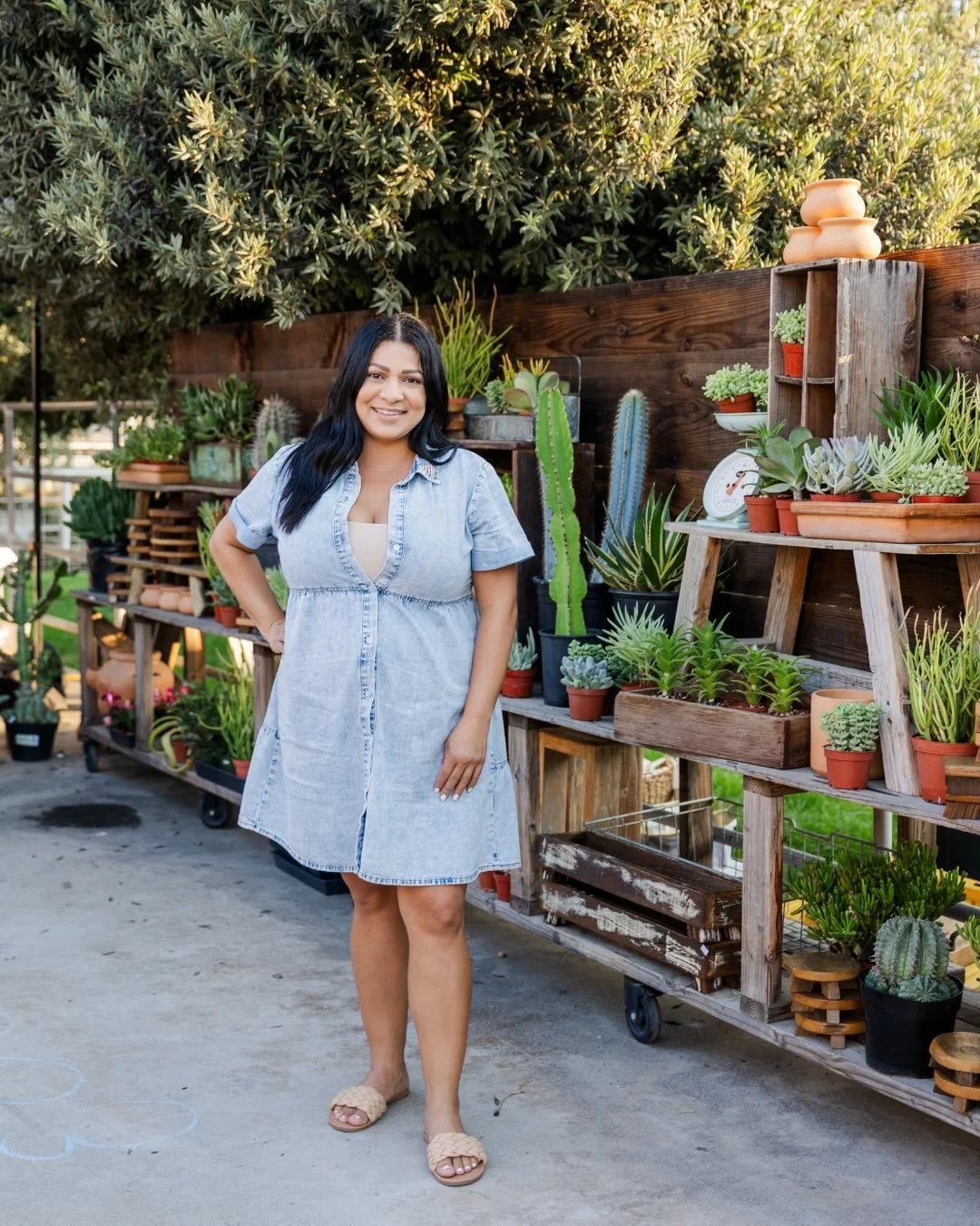 Sugar&rsquo;s Succulents is your favorite plant shop and has been serving the community with their signature succulent arrangements, premium California-grown succulents &amp; cacti, Terra cotta pottery and popular workshops for the last 10 years.

Br