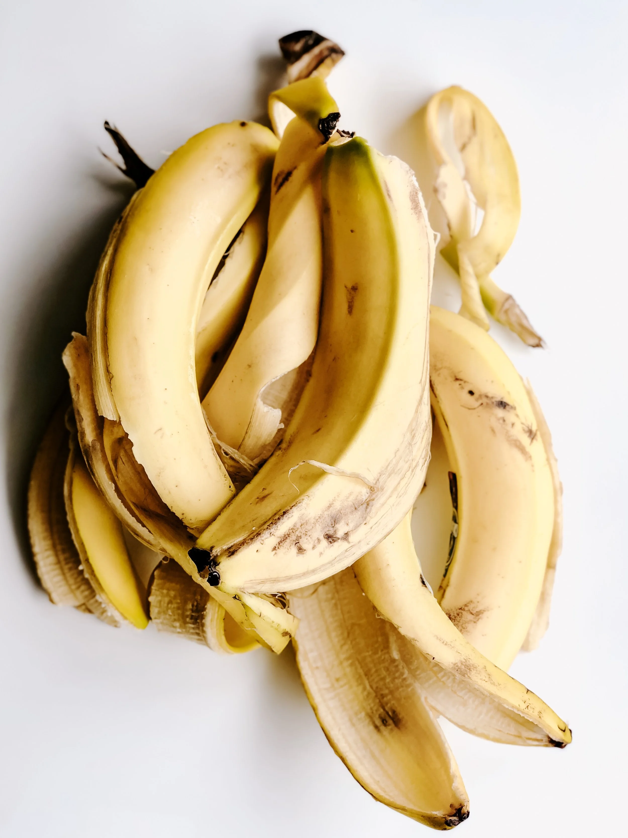 So You're Thinking About Composting