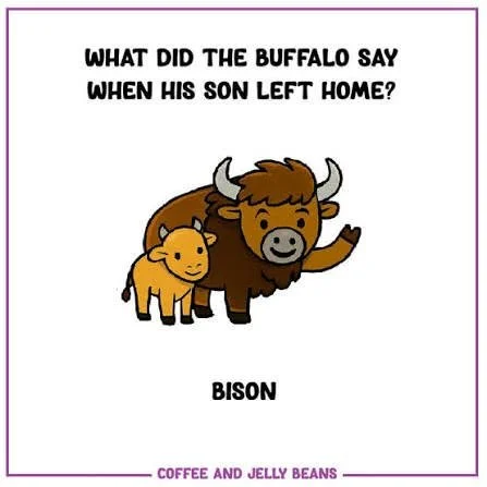 And like bison we still together till the end 💪😊

#indigenous #NativeAmerican #NativePride #NativeVoices #NativeFamily