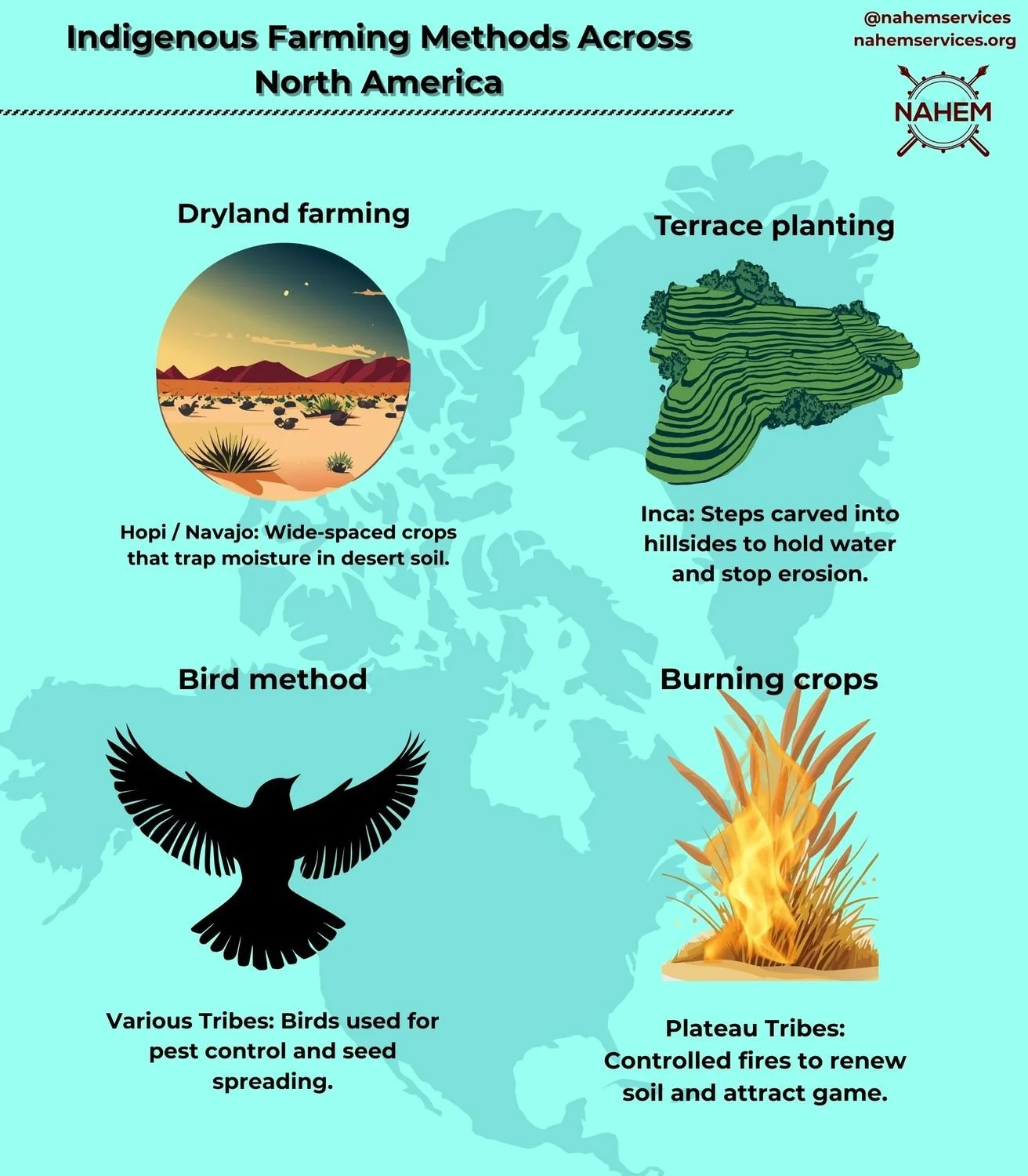Traditional Ecological Knowledge (TEK) reminds us that sustainability isn&rsquo;t a trend&mdash;it&rsquo;s ancestral.

From waffle gardens and Three Sisters planting to no-till soil care and olla irrigation, Indigenous agricultural practices continue