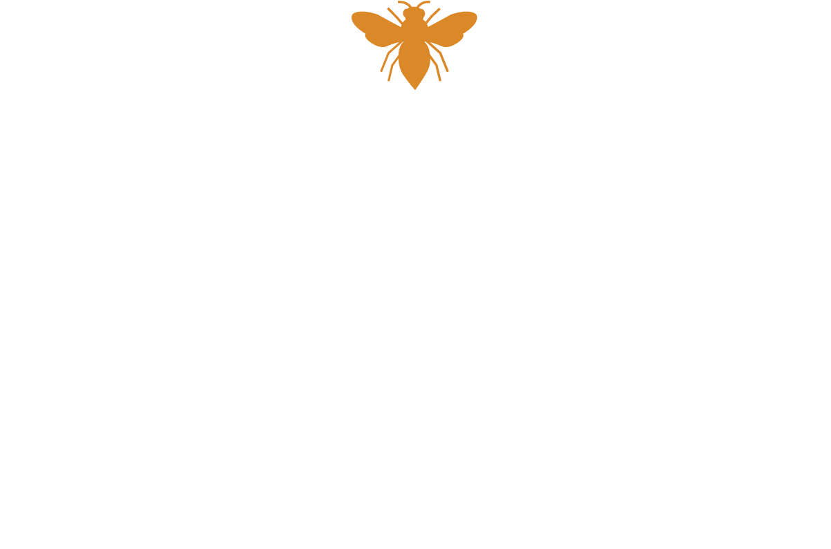 Morgan Jackson Design