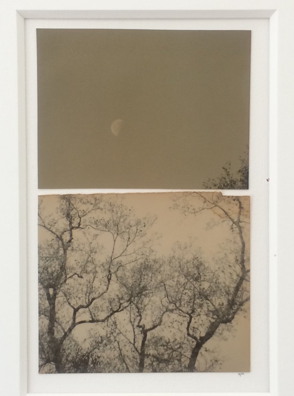   Untitled (poem #79)   Artist’s gelatin silver photographs in collage  Approx. 6 x 4 in.  