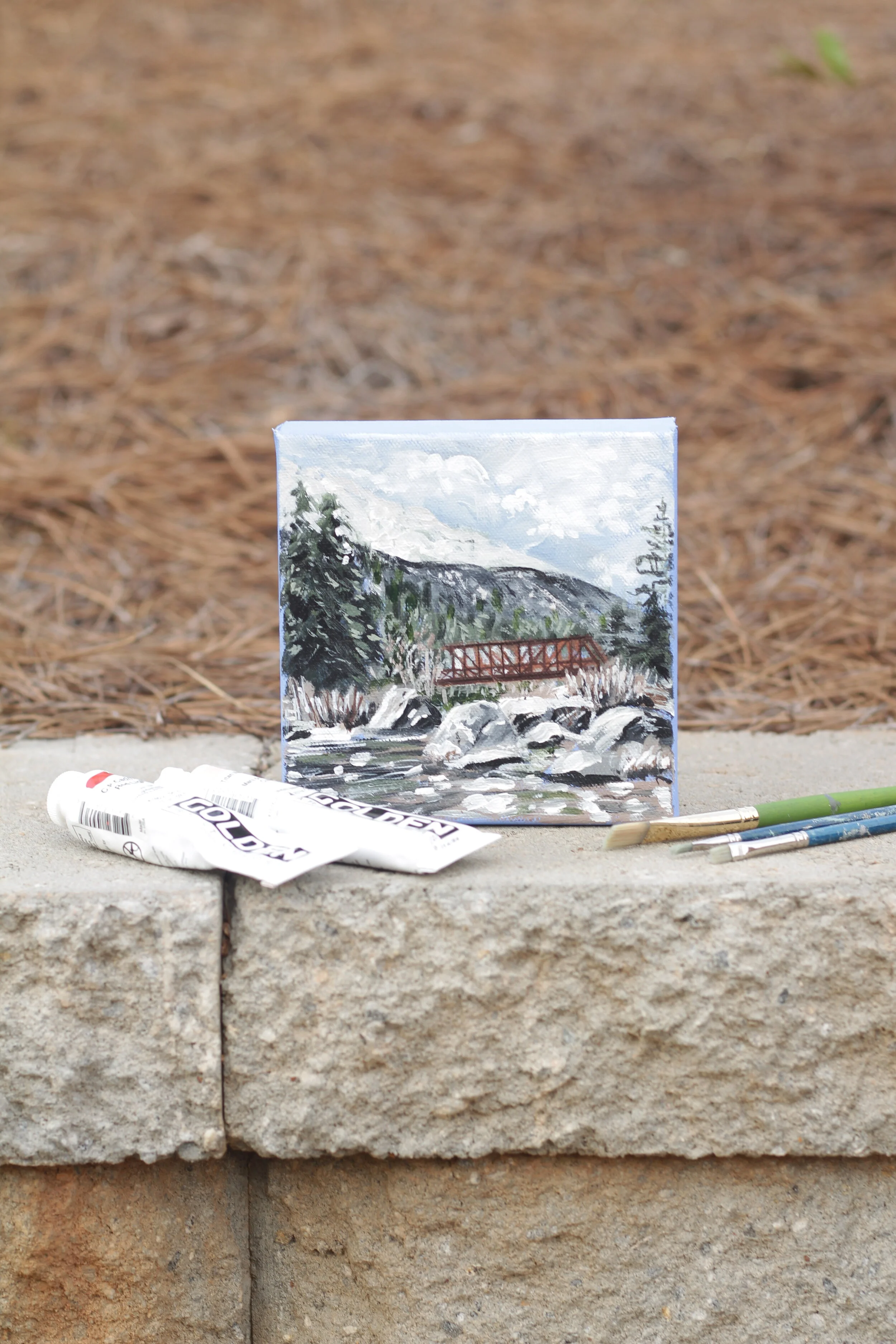 Old Pipeline Bed Trail